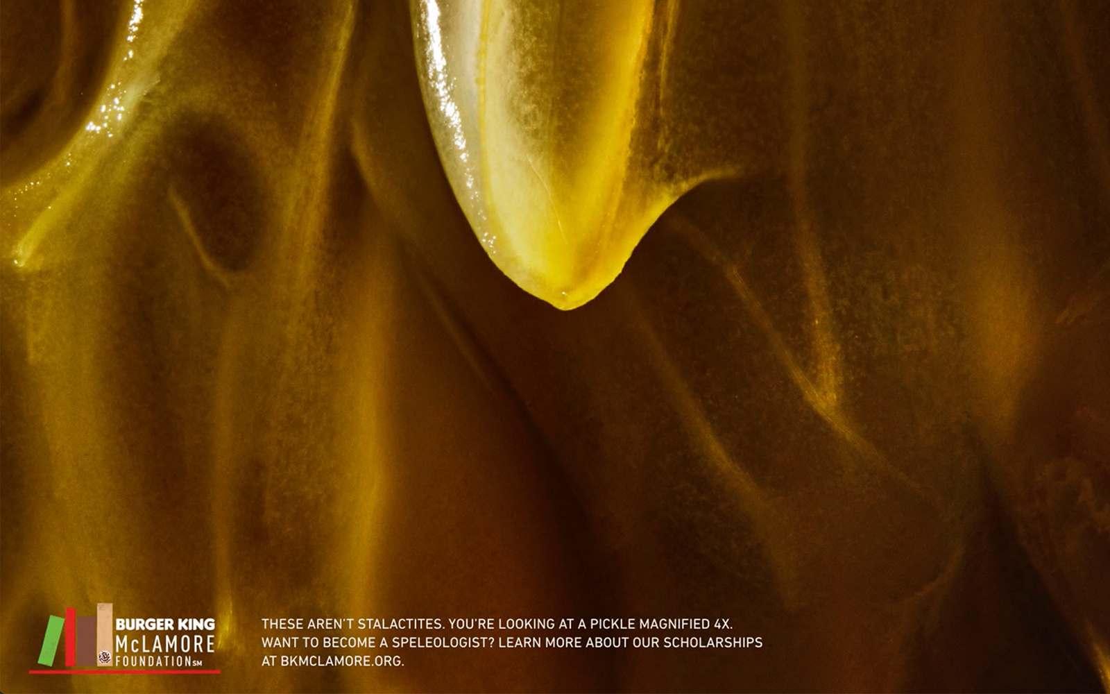 Burger King — Magnified